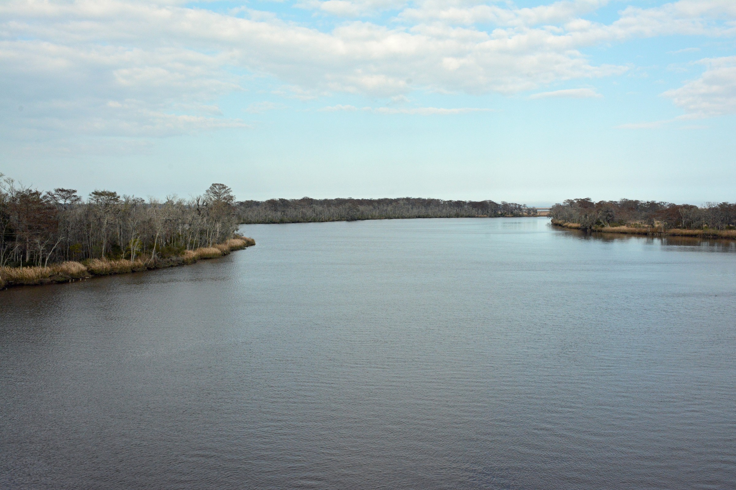 Altamaha River Level - 6uu42p9