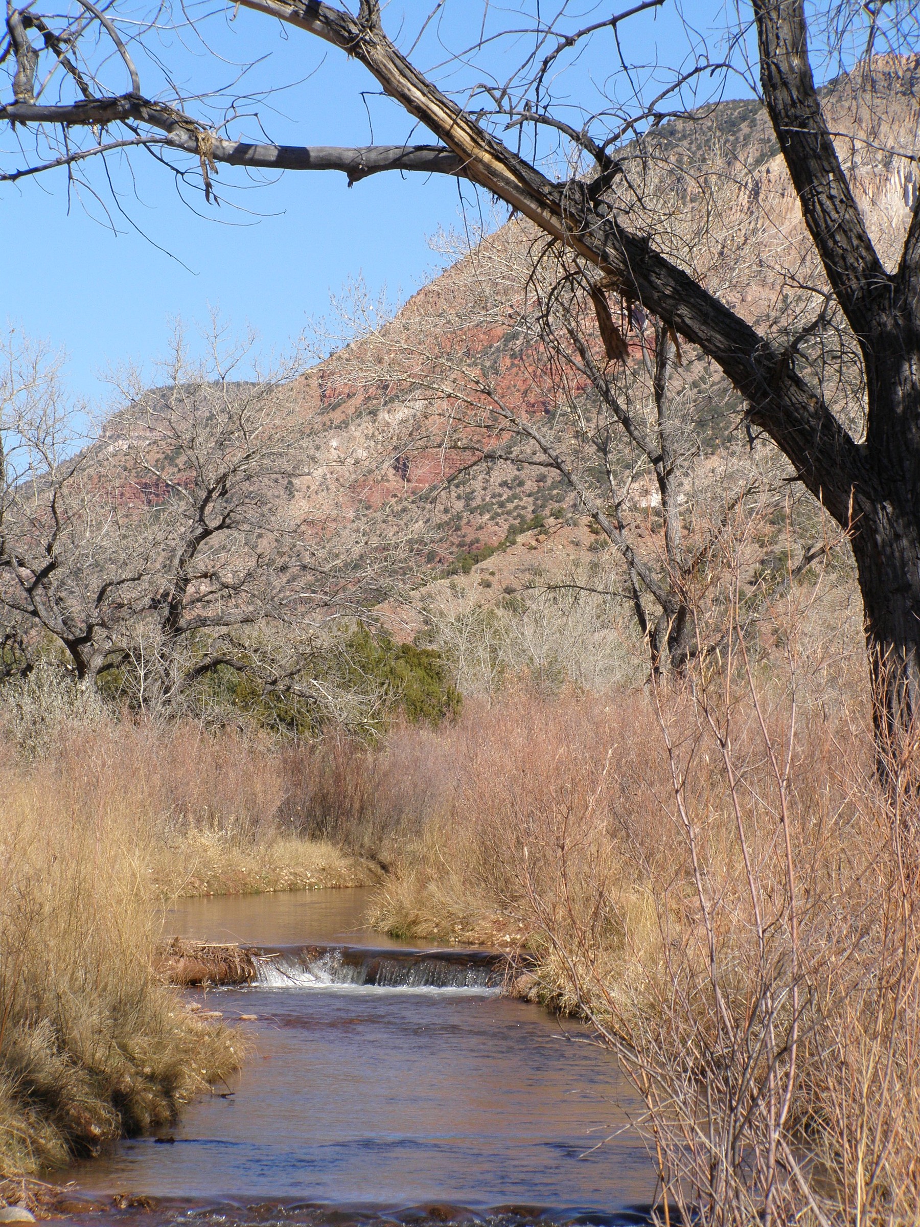 Jemez River Natural Atlas