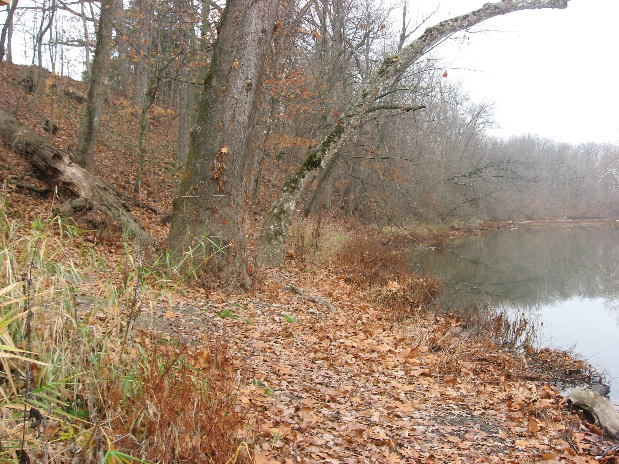 Auglaize River Natural Atlas