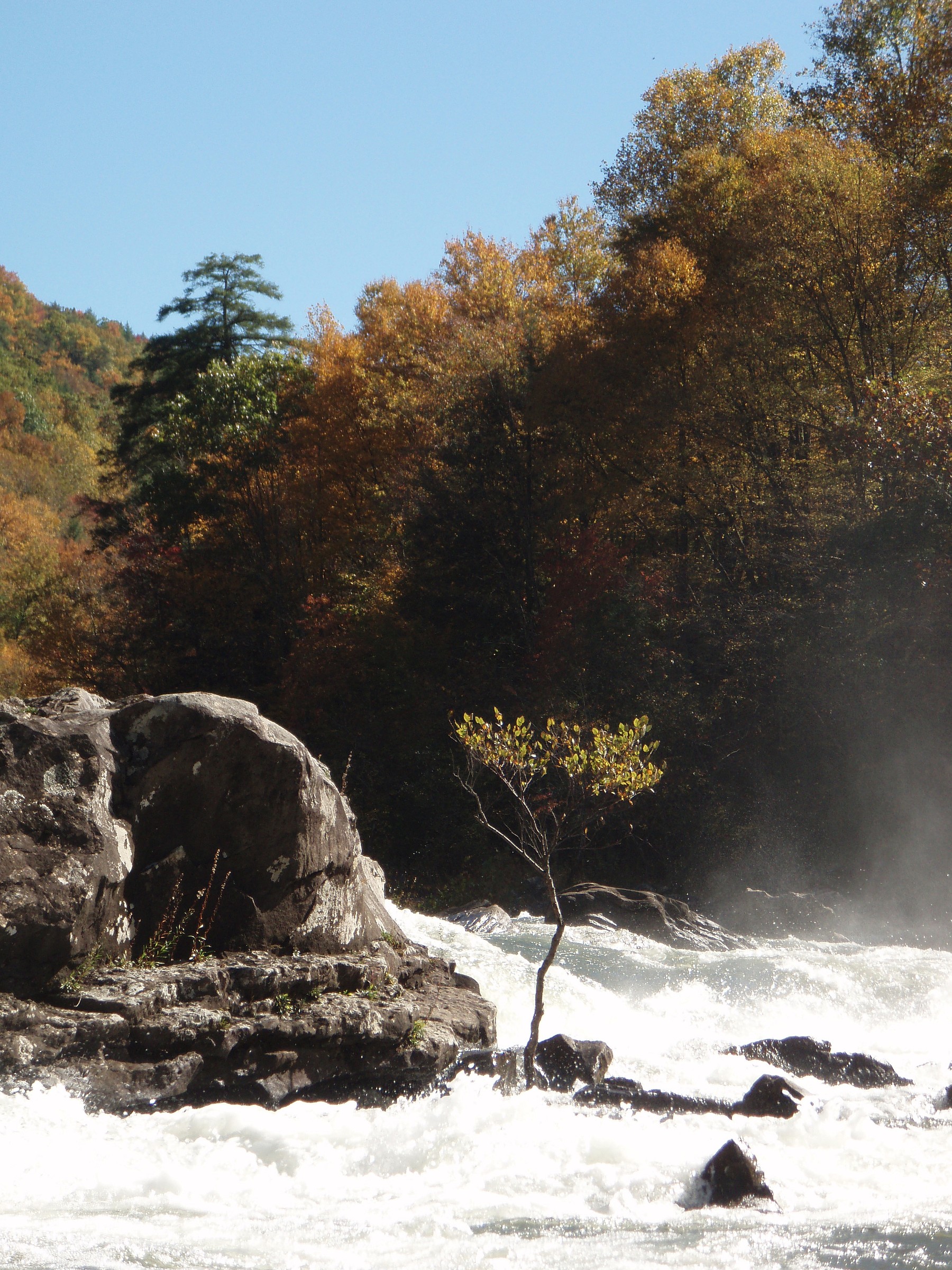 Gauley River Natural Atlas
