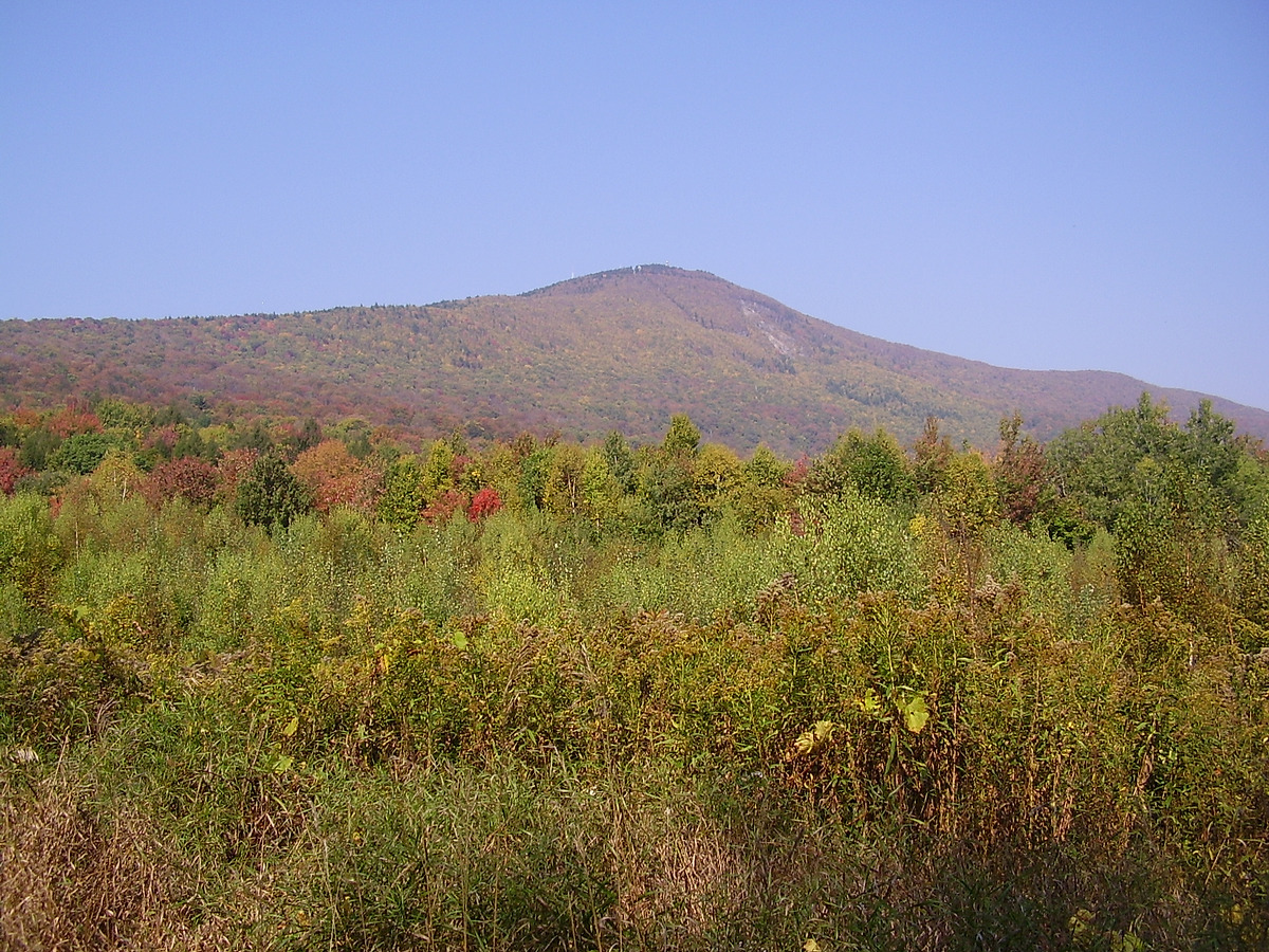 Mount Greylock Natural Atlas