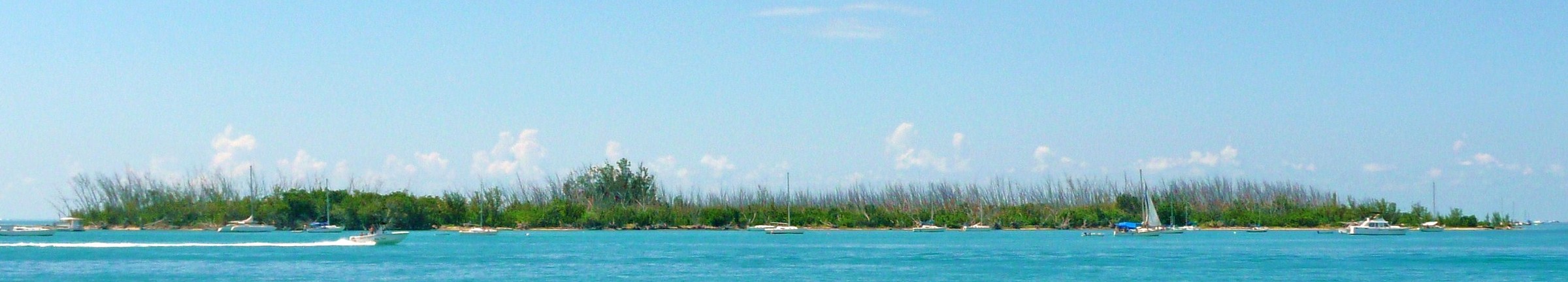 Wisteria Island | Natural Atlas