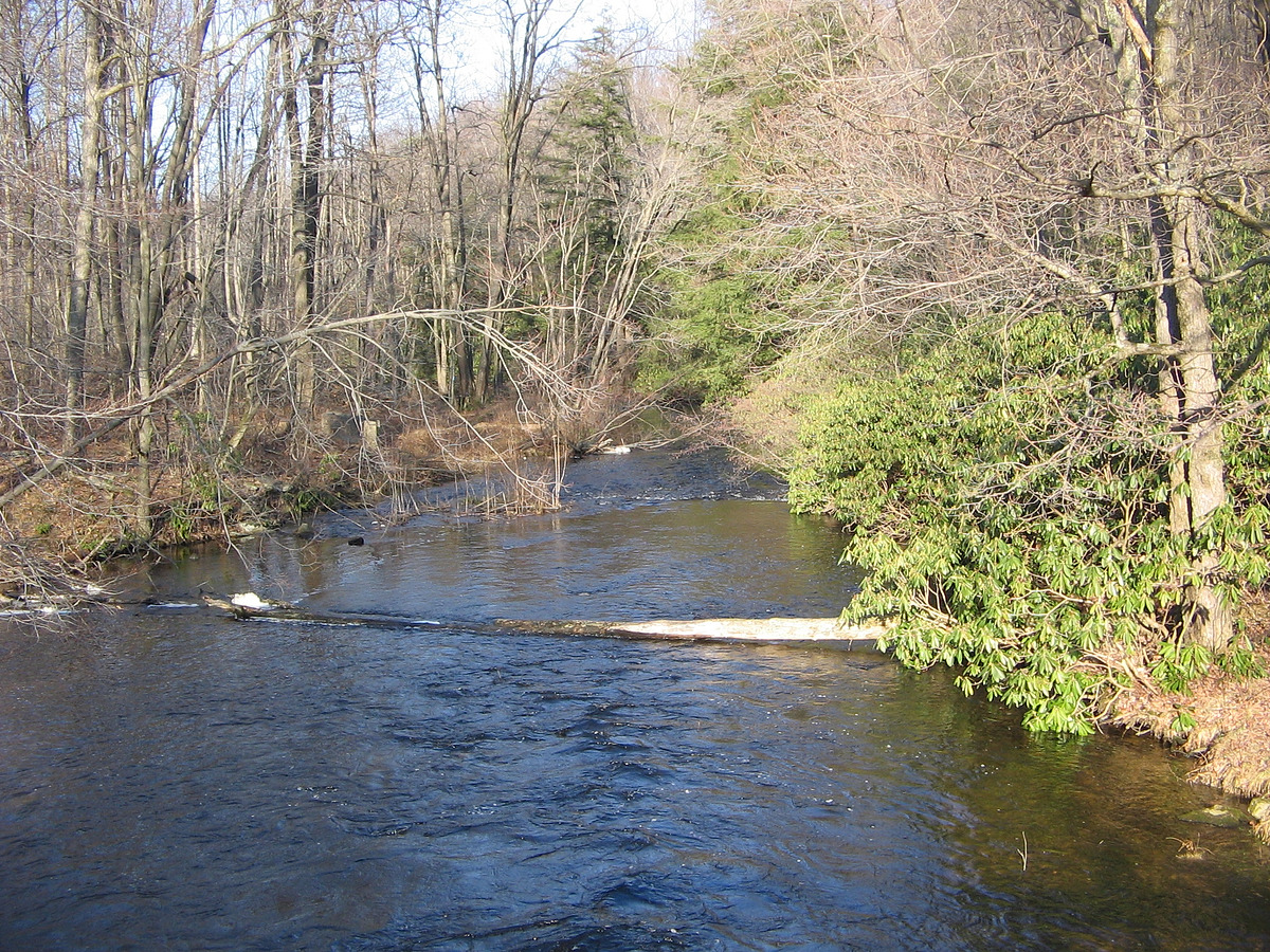 Moshannon State Forest Map, PA Natural Atlas