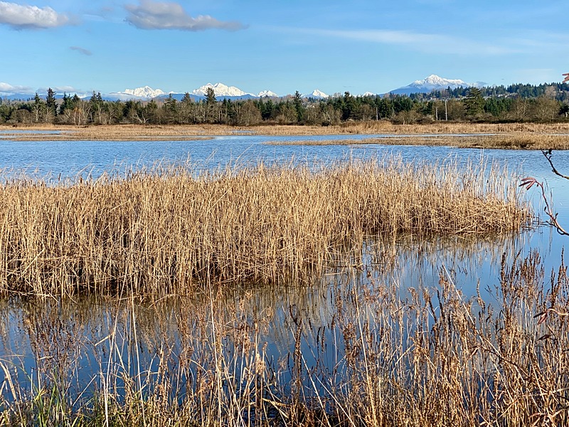 Bird Watching Areas Natural Atlas