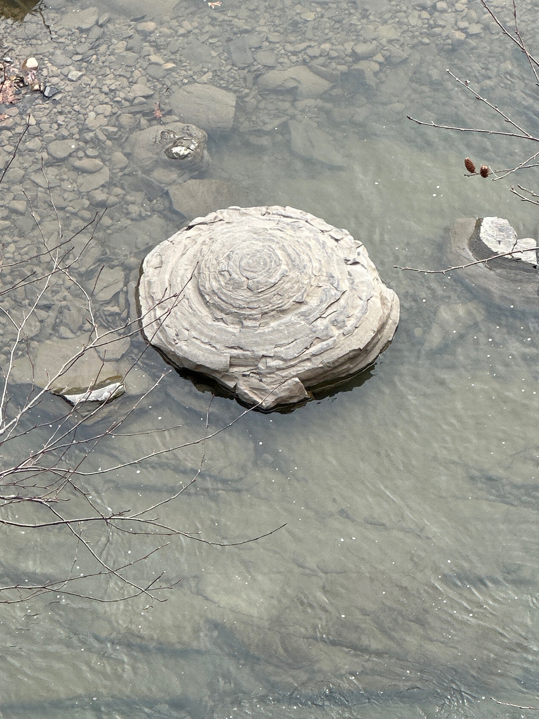 w-means × noroll concretion w-means × noroll concretion CONCRETIONS AND NODULES IN NORTH