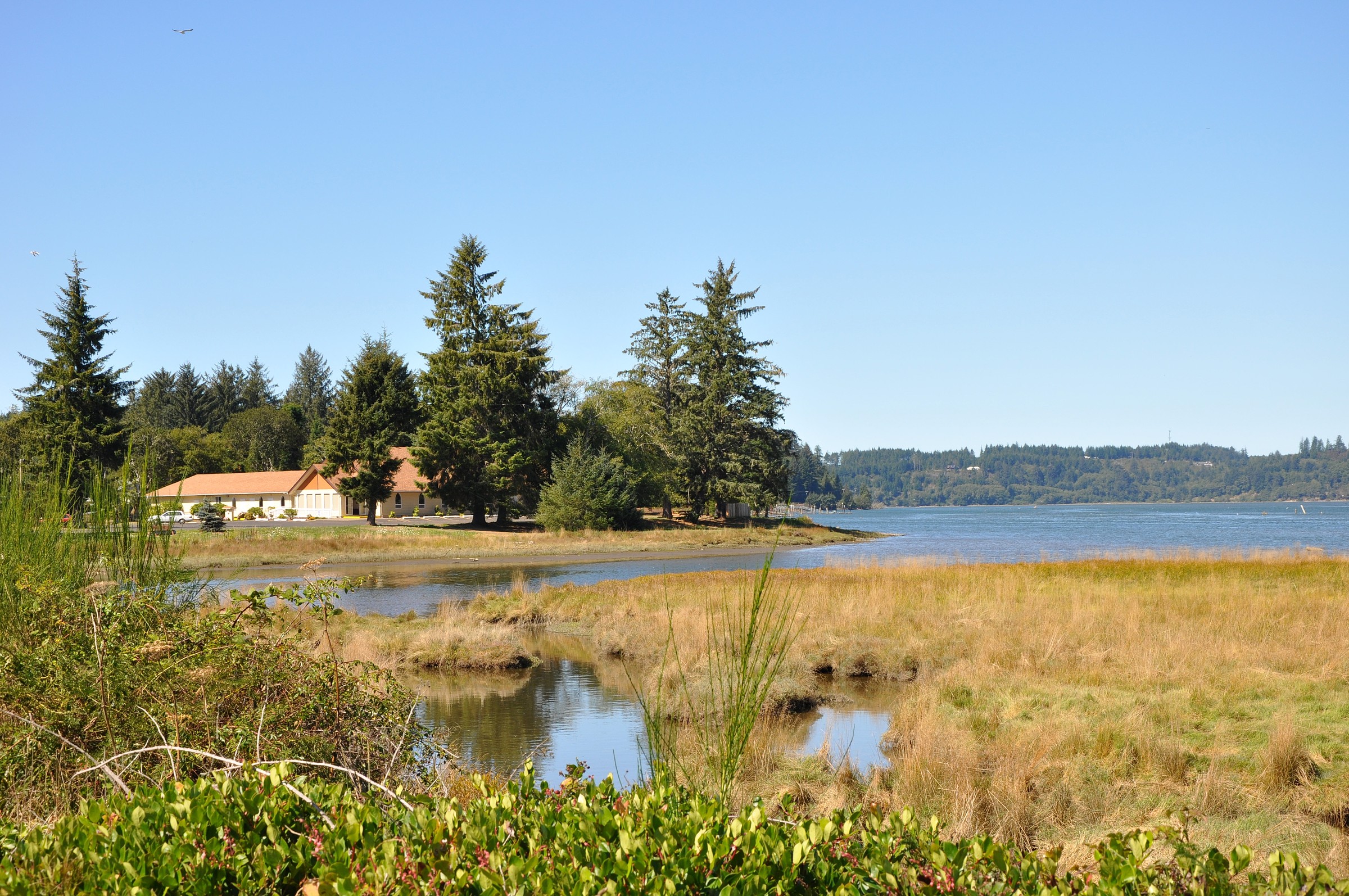 Alsea River Natural Atlas