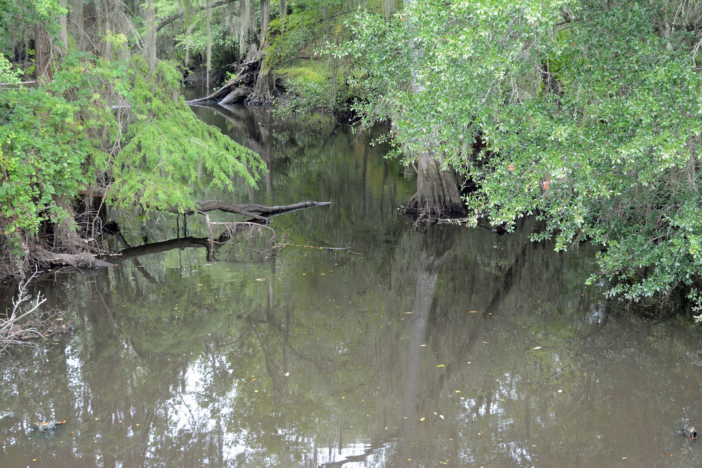 Willacoochee River Natural Atlas