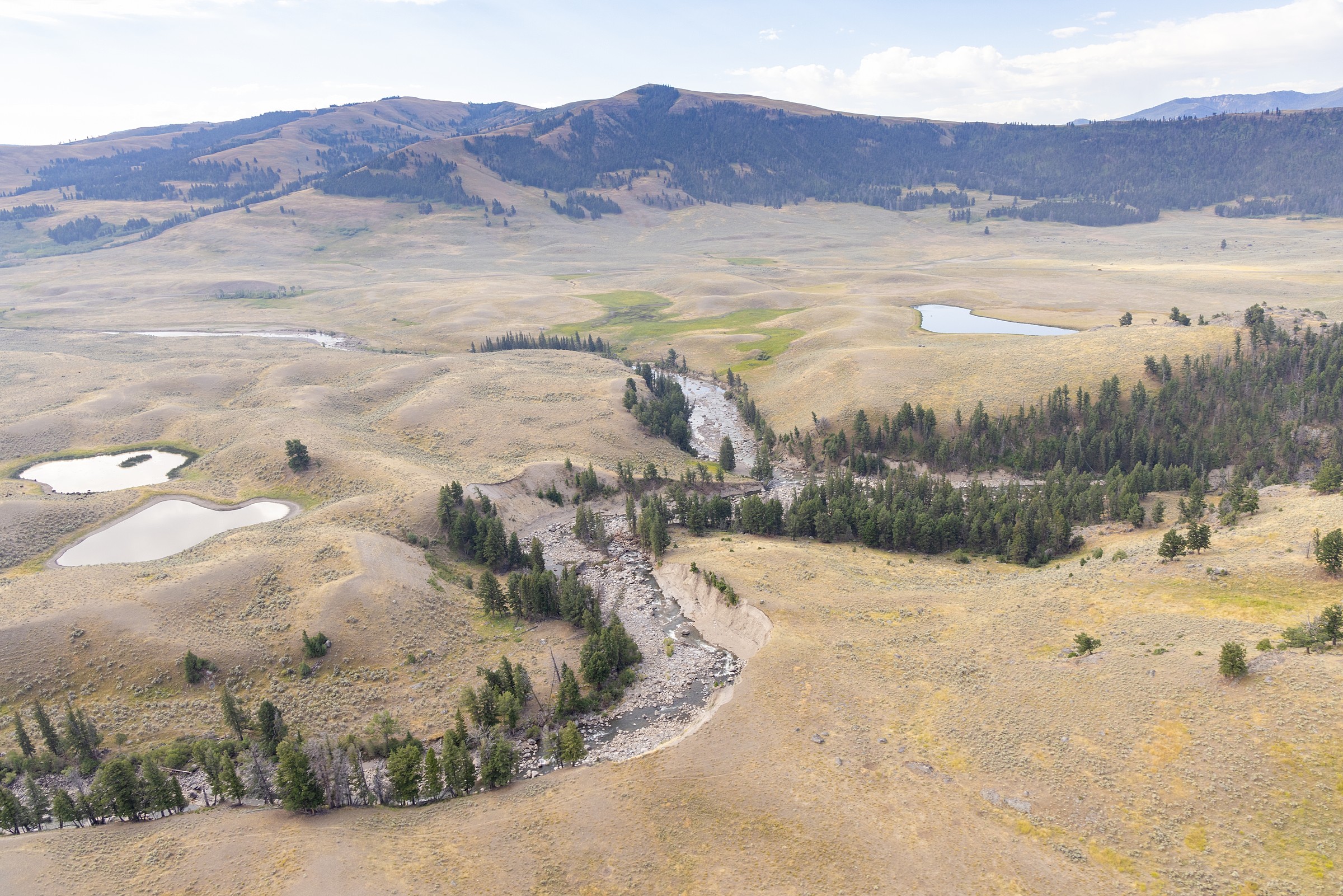 Specimen Ridge | Natural Atlas