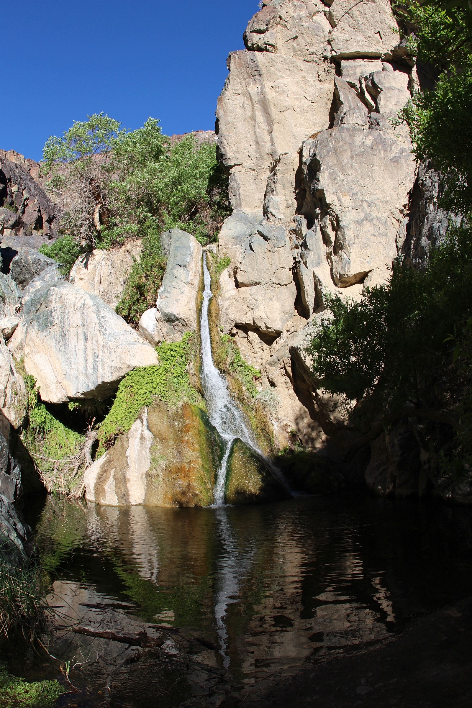 Darwin Falls Natural Atlas