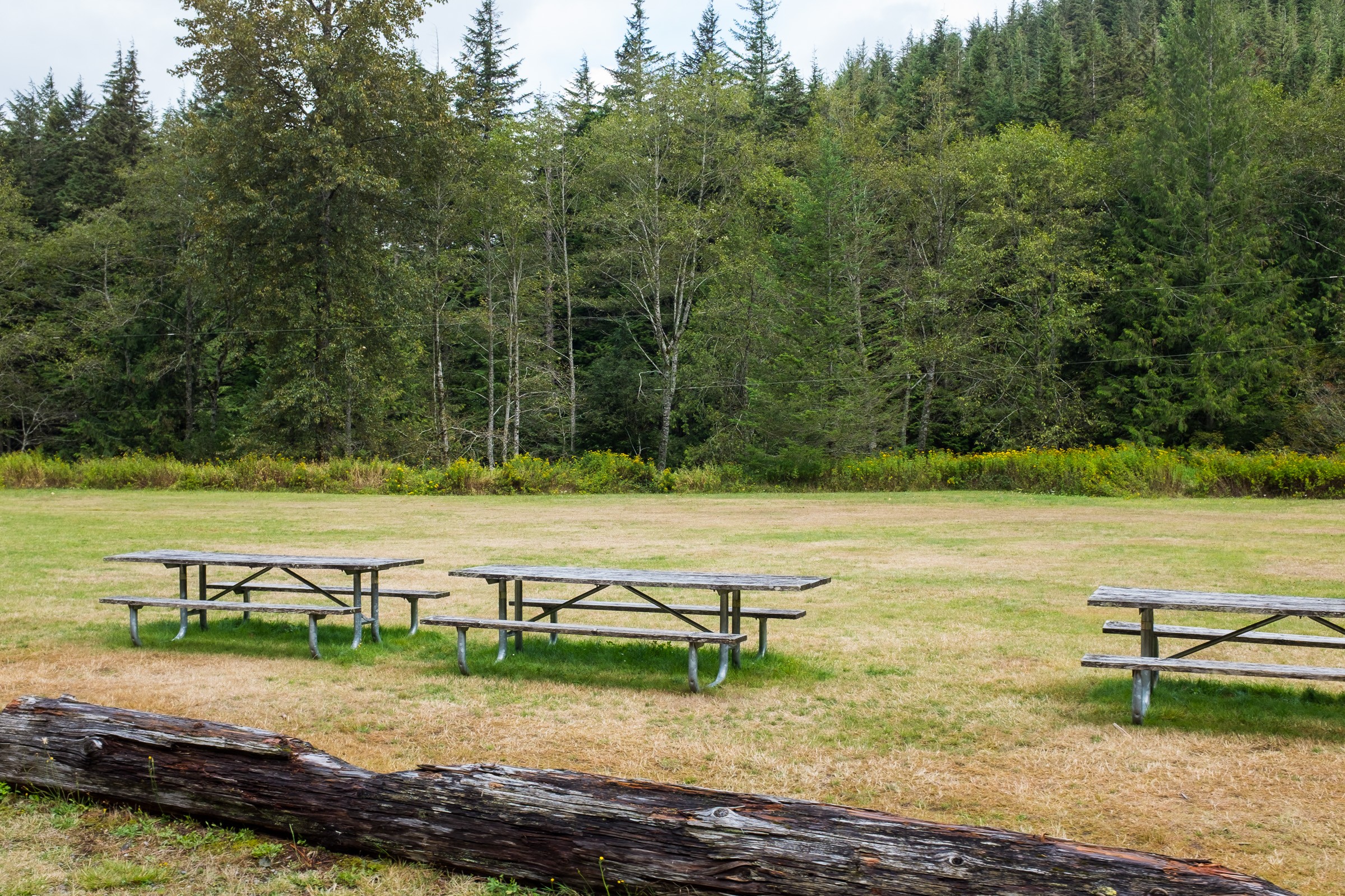 South Fork Picnic Area Natural Atlas