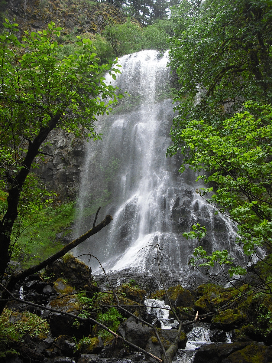 Fall Creek Falls Natural Atlas