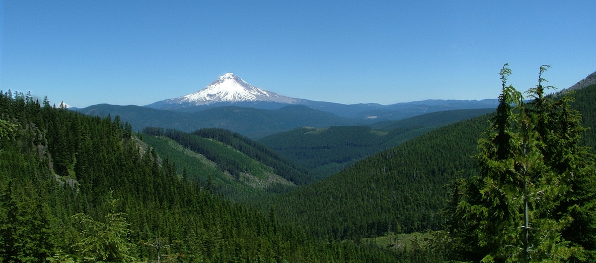 Mount Hood National Recreation Area Natural Atlas