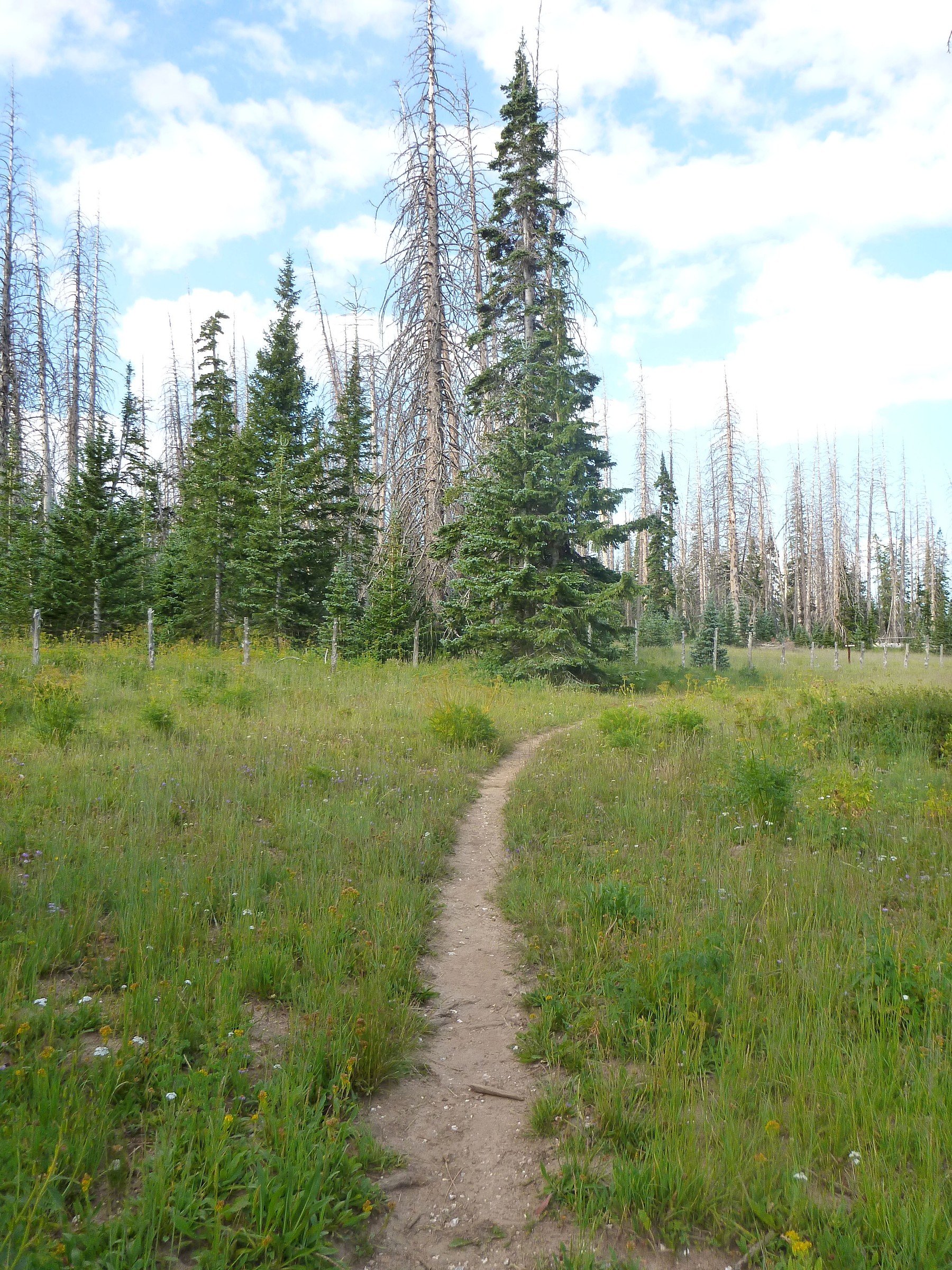 Rattlesnake Trailhead Natural Atlas