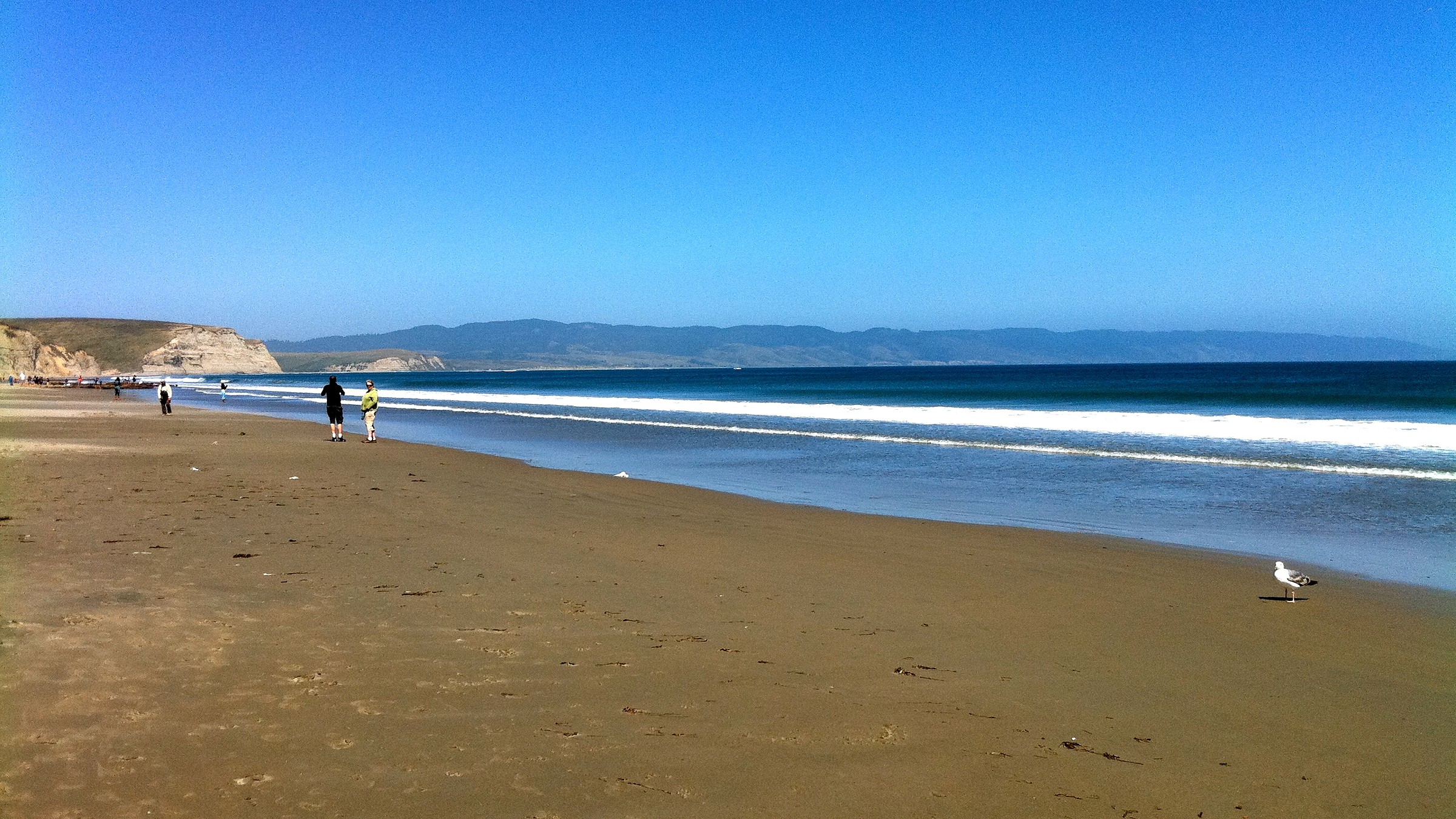 Drakes Beach Natural Atlas