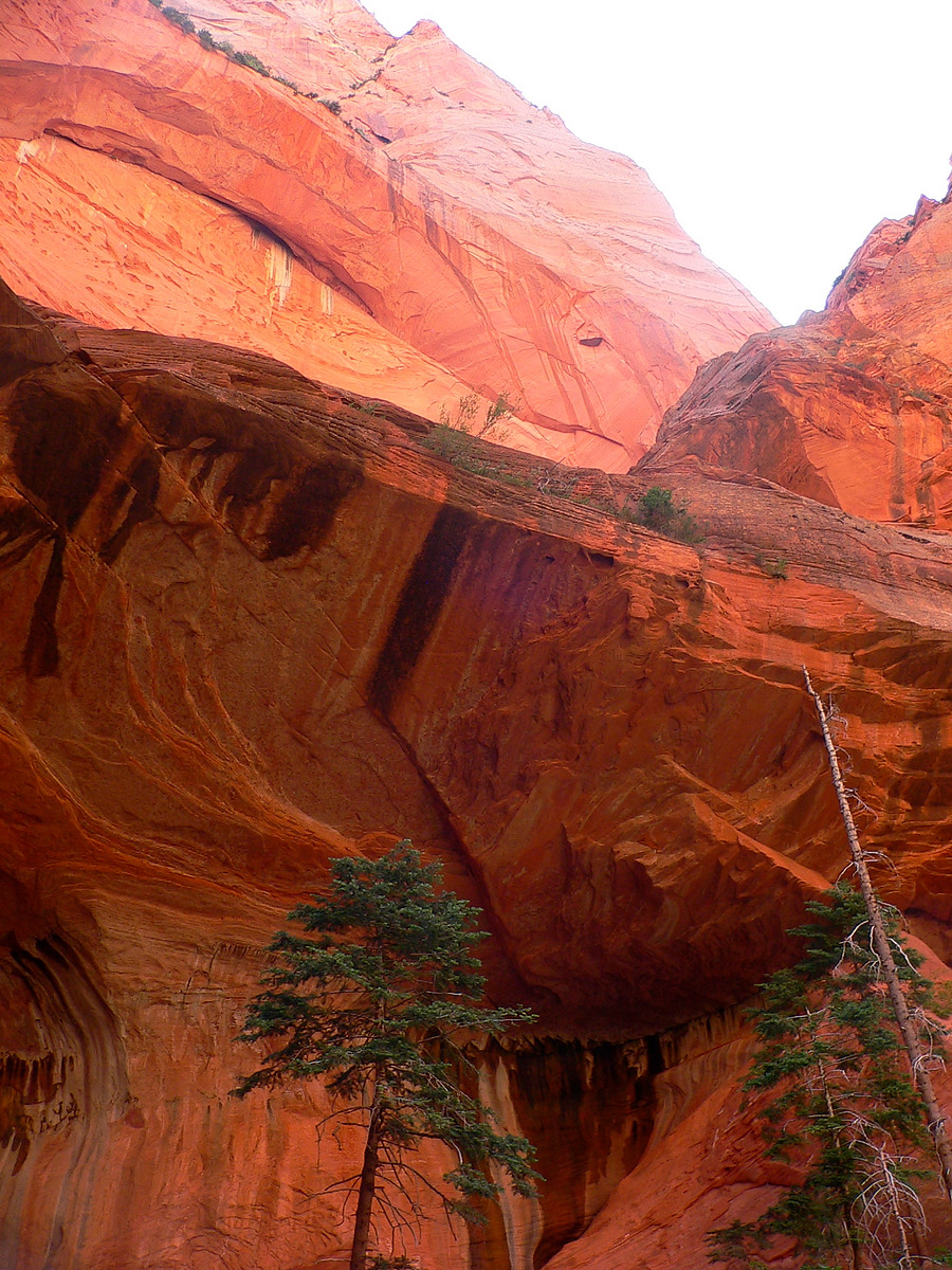 Double Arch Alcove Natural Atlas