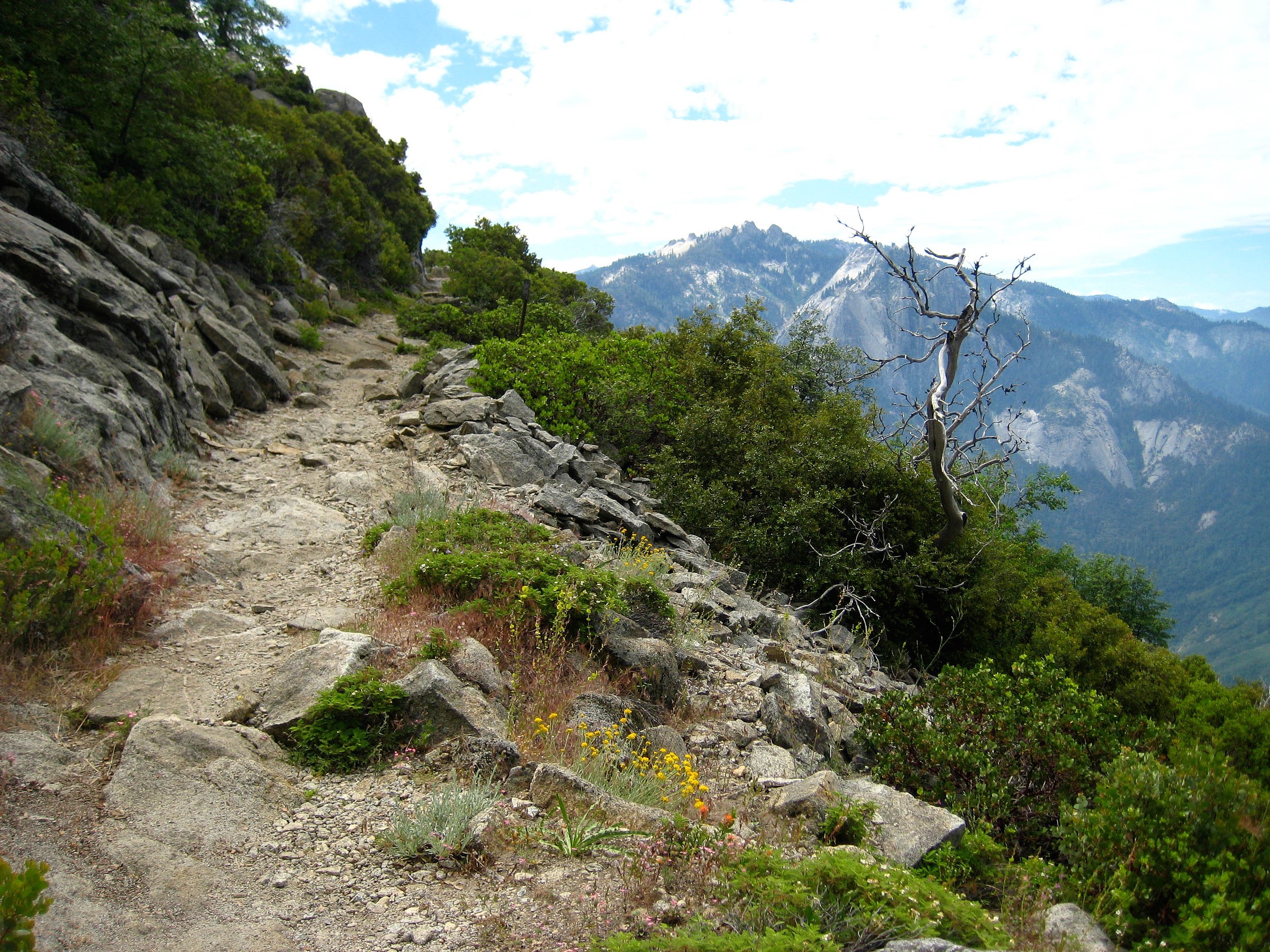 High Sierra Trail Natural Atlas