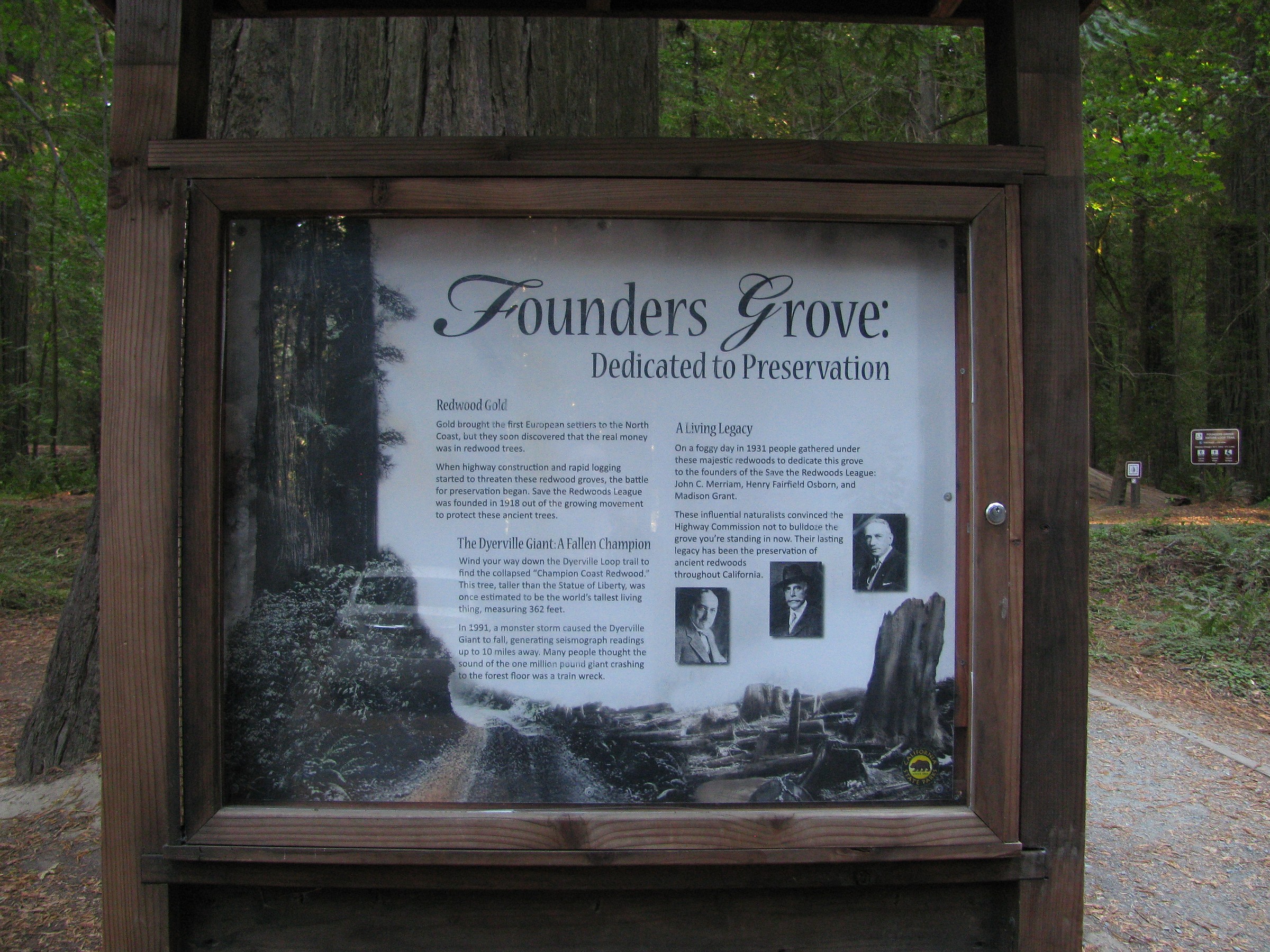 Founders Grove | Natural Atlas