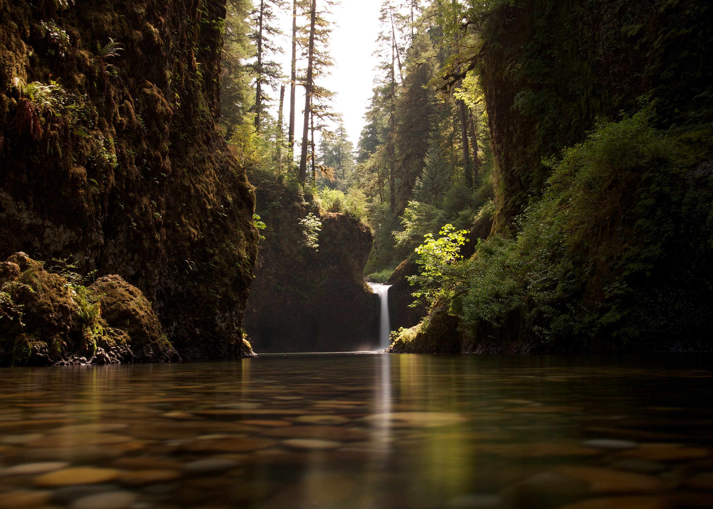 Punch Bowl Falls Natural Atlas