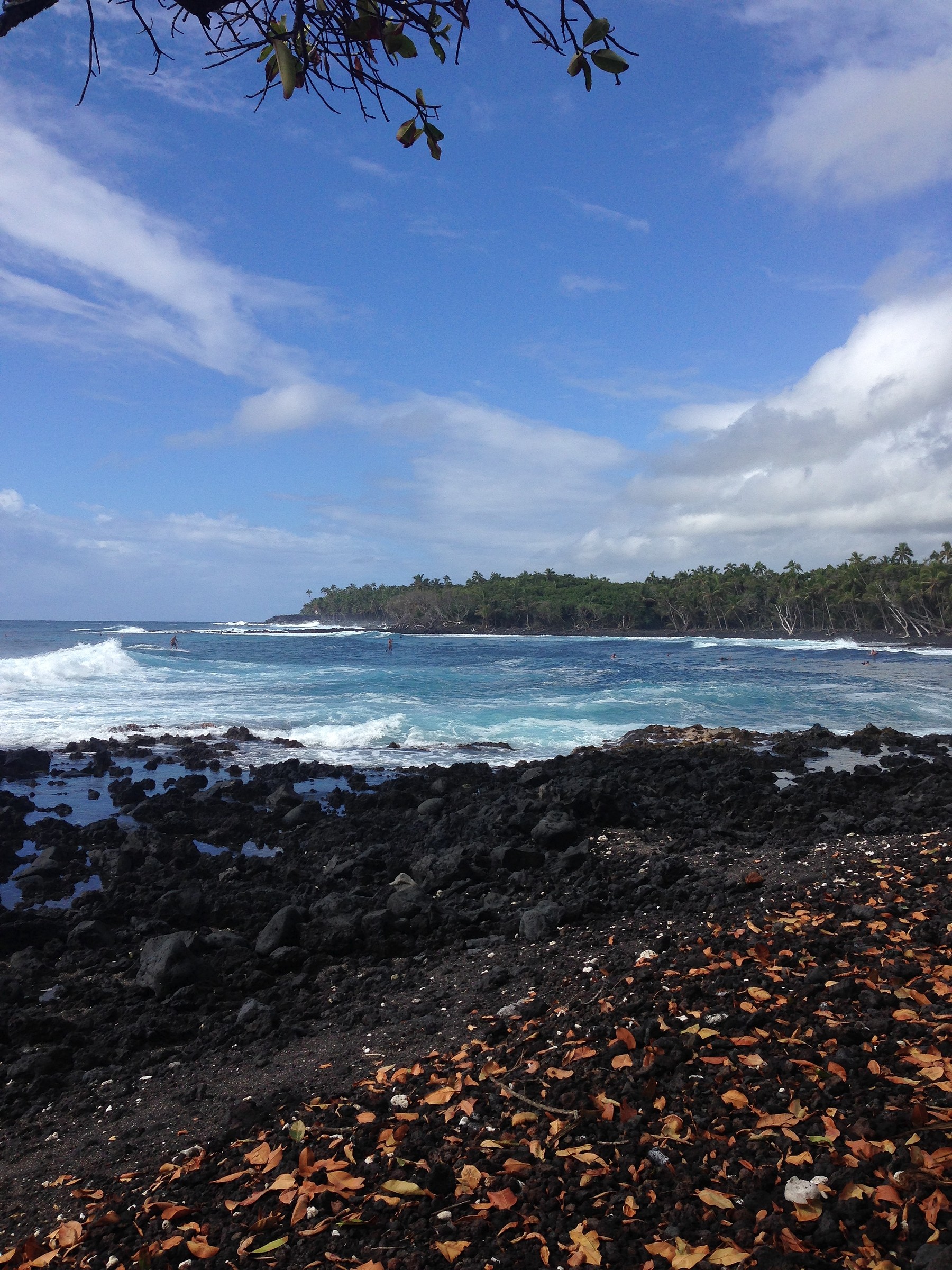 Isaac Hale Beach Park | Natural Atlas