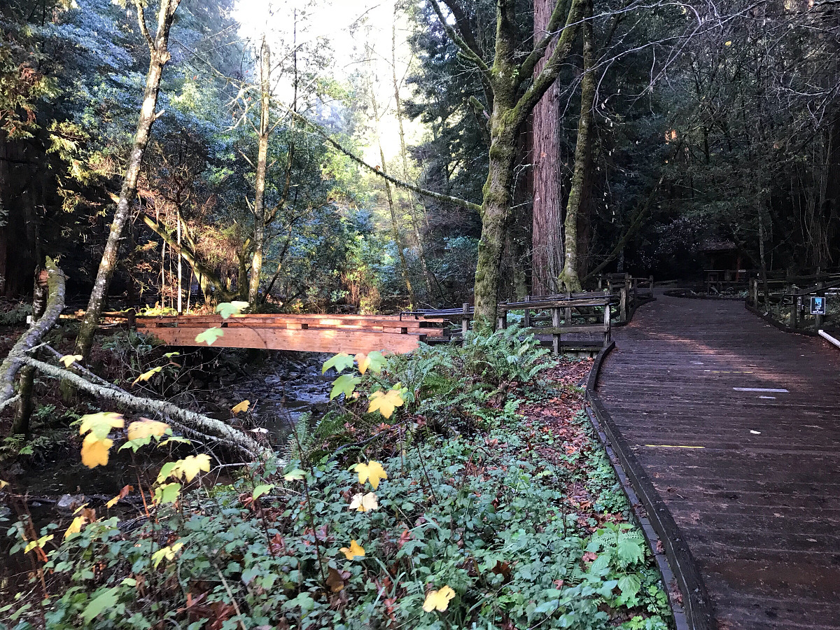 Main Trail;Redwood Creek Trail Natural Atlas