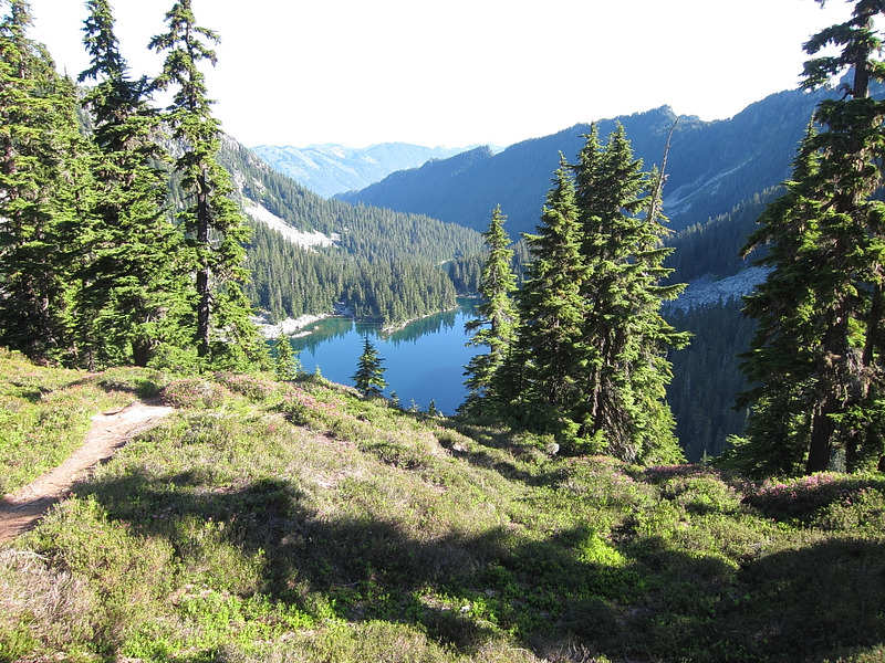 Wenatchee National Forest Map Natural Atlas