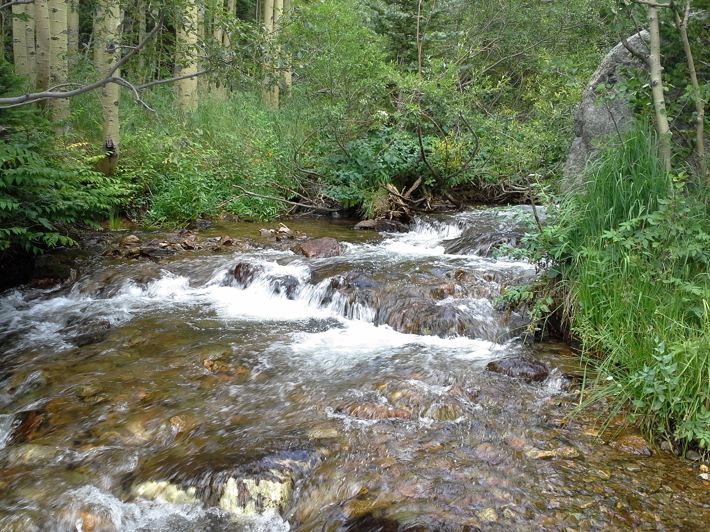 Tyndall Creek Natural Atlas