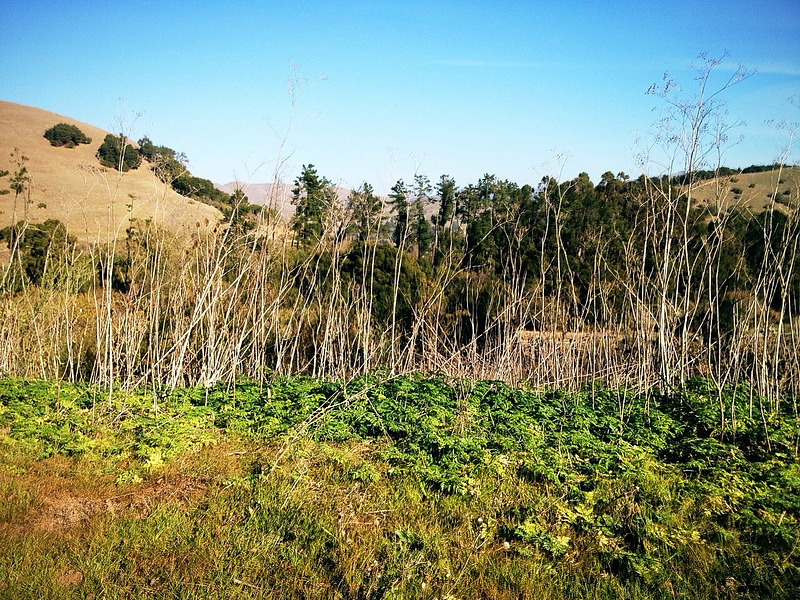 Weather Valle Vista CA – Exploring the Topography and Microclimate