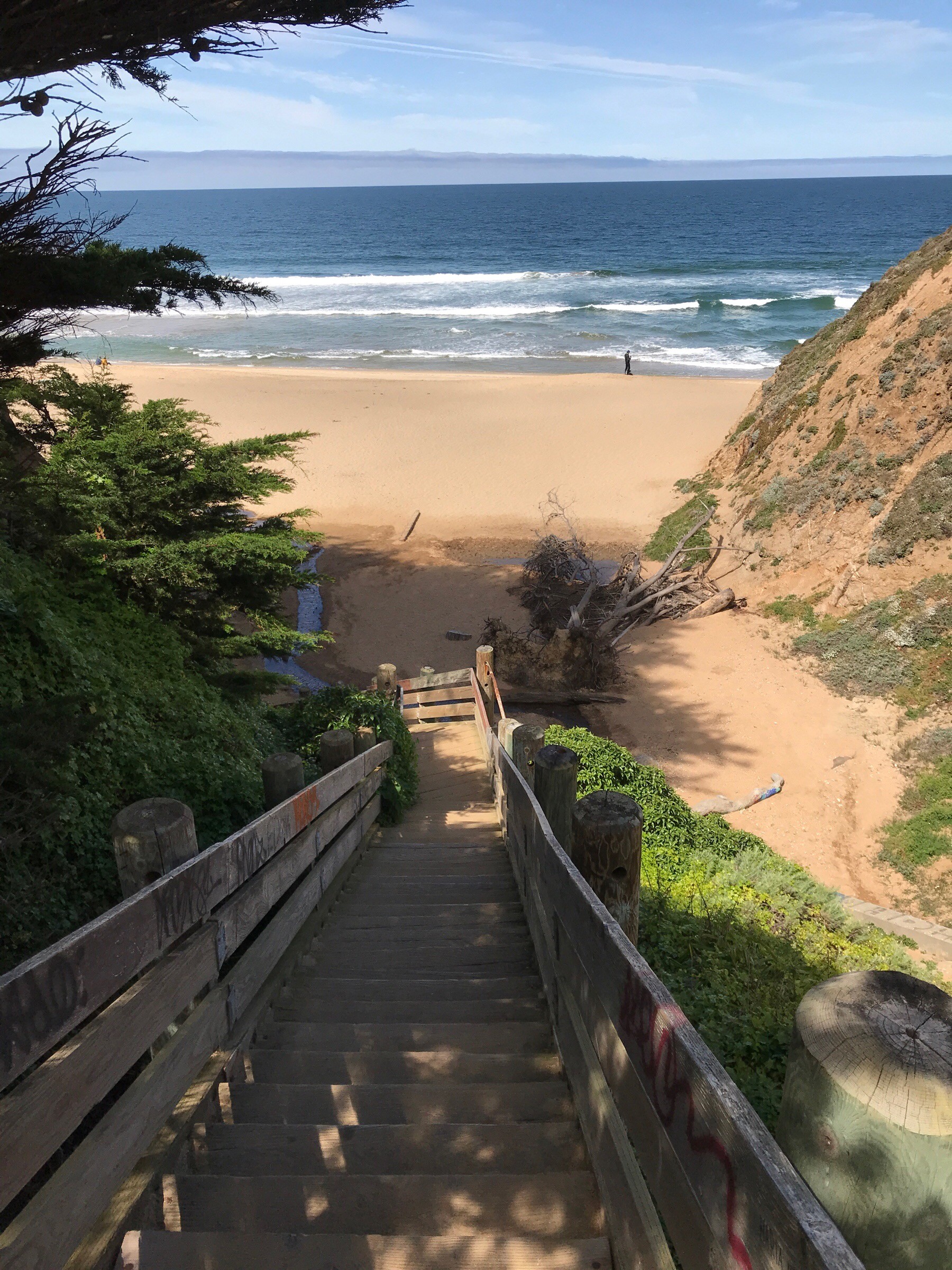 Gray Whale Cove Beach Access Natural Atlas
