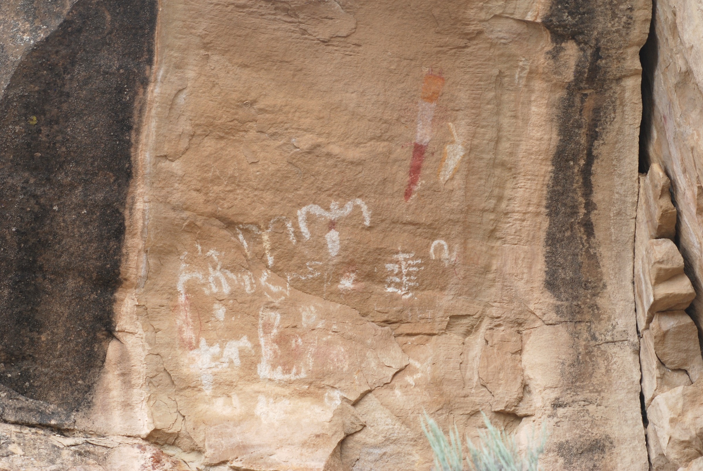 White Birds Site | Natural Atlas