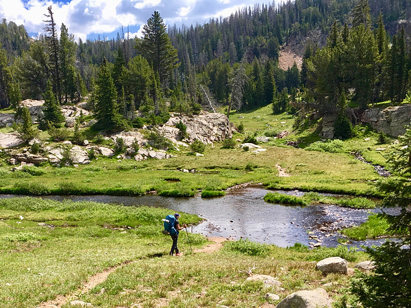 Beartooth Highlakes Trail | Natural Atlas