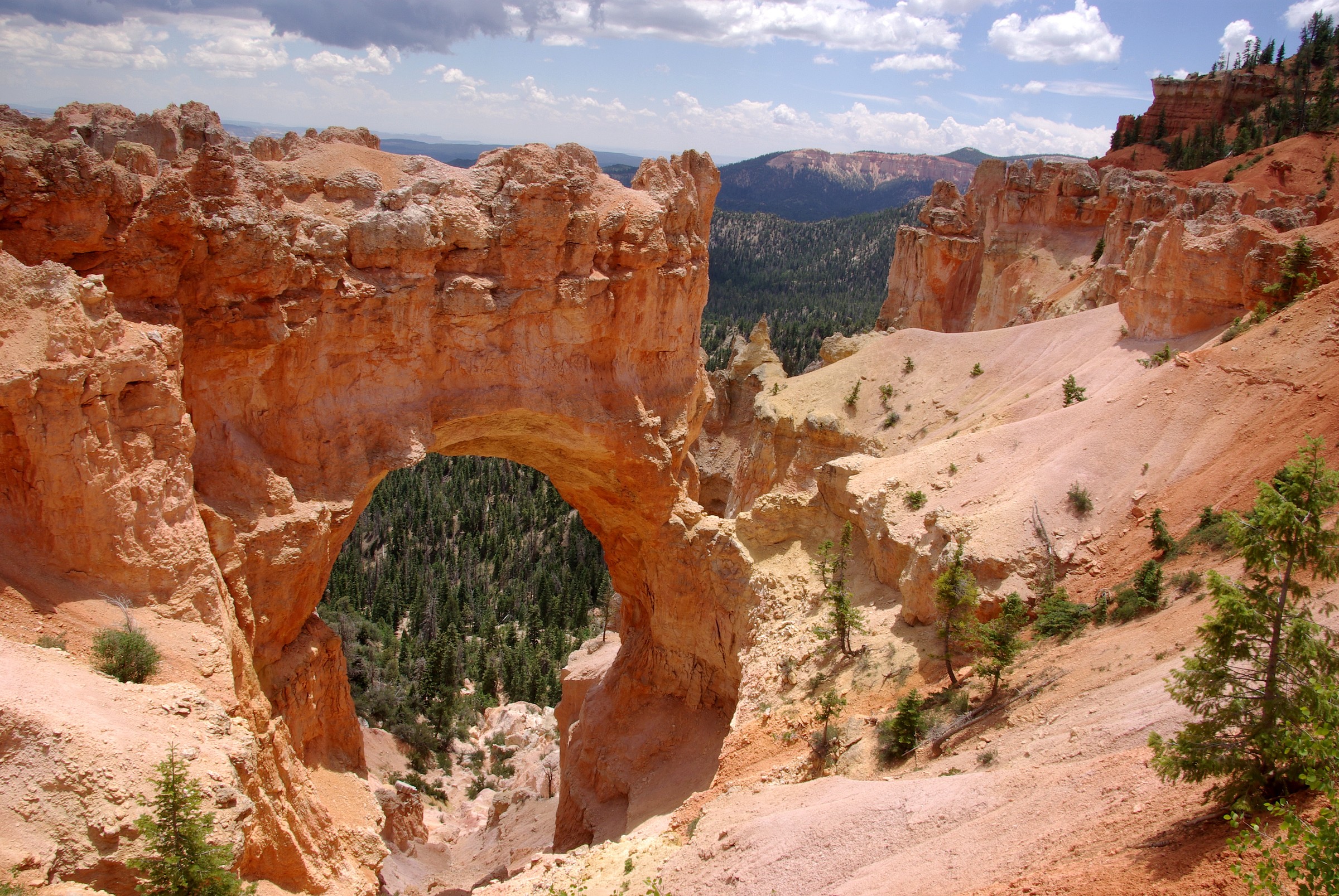 Natural Bridge Overlook Natural Atlas