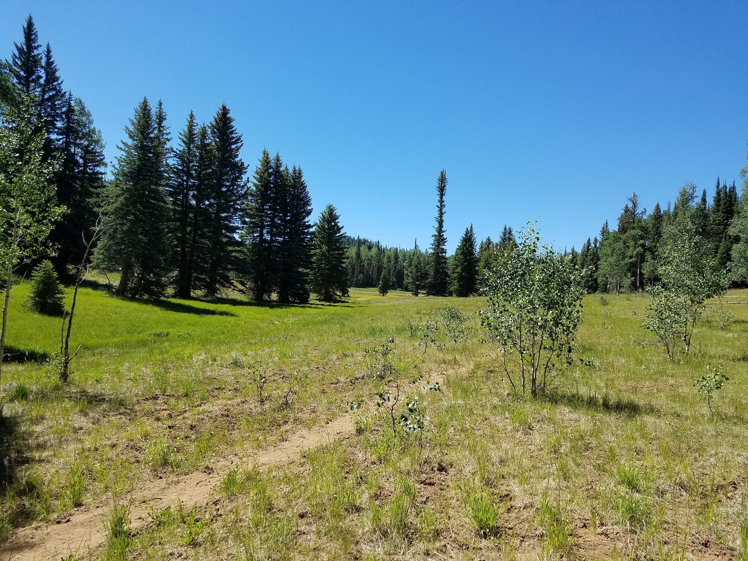 Crystal Springs Trail Natural Atlas