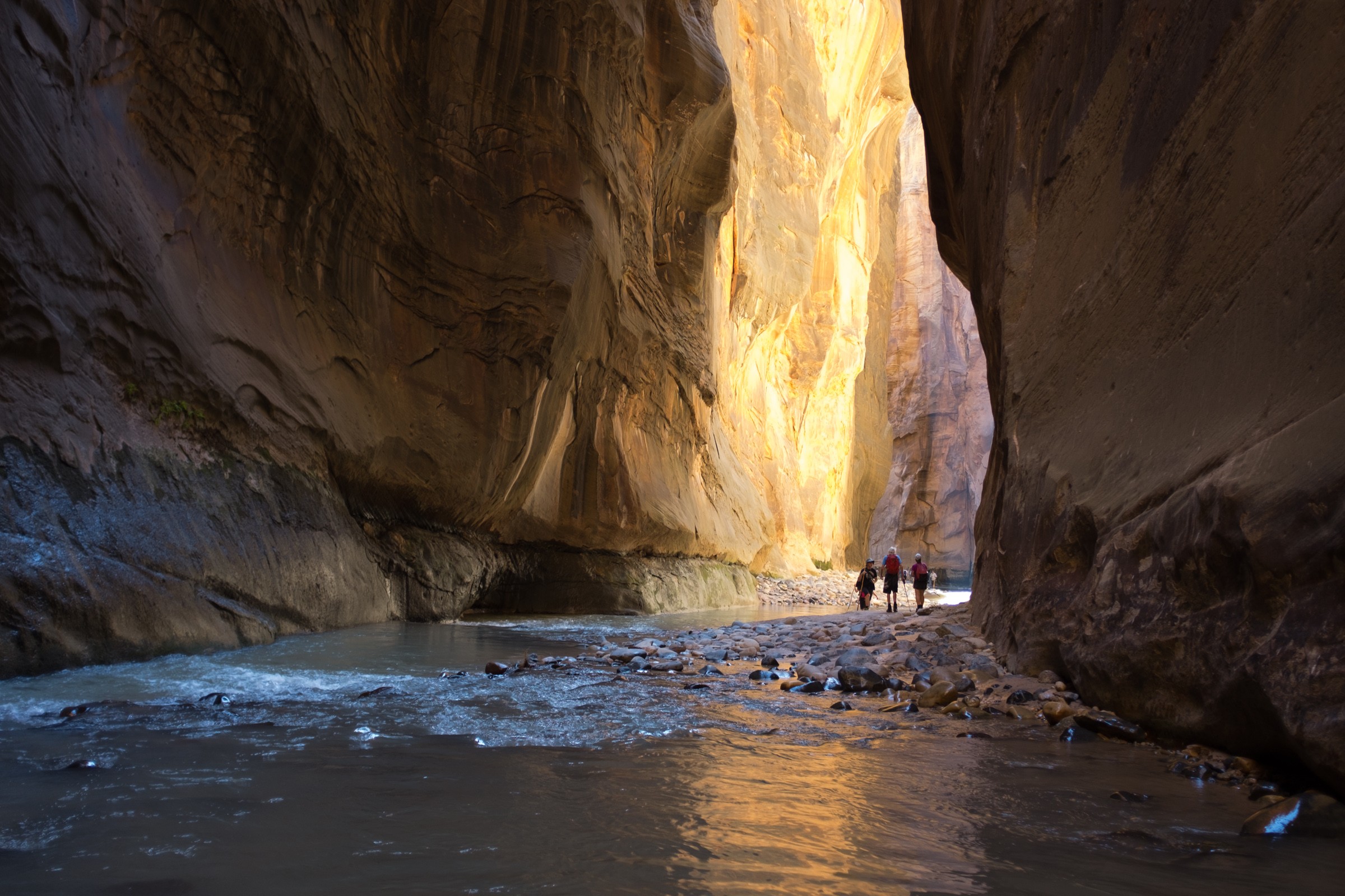 Zion Narrows Natural Atlas