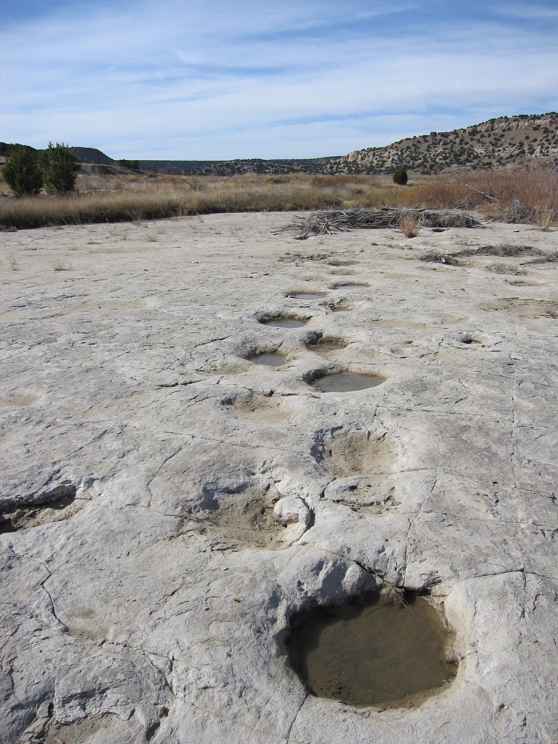 Picket Wire Canyon Dinosaur Tracksite · Featured Route COTREX