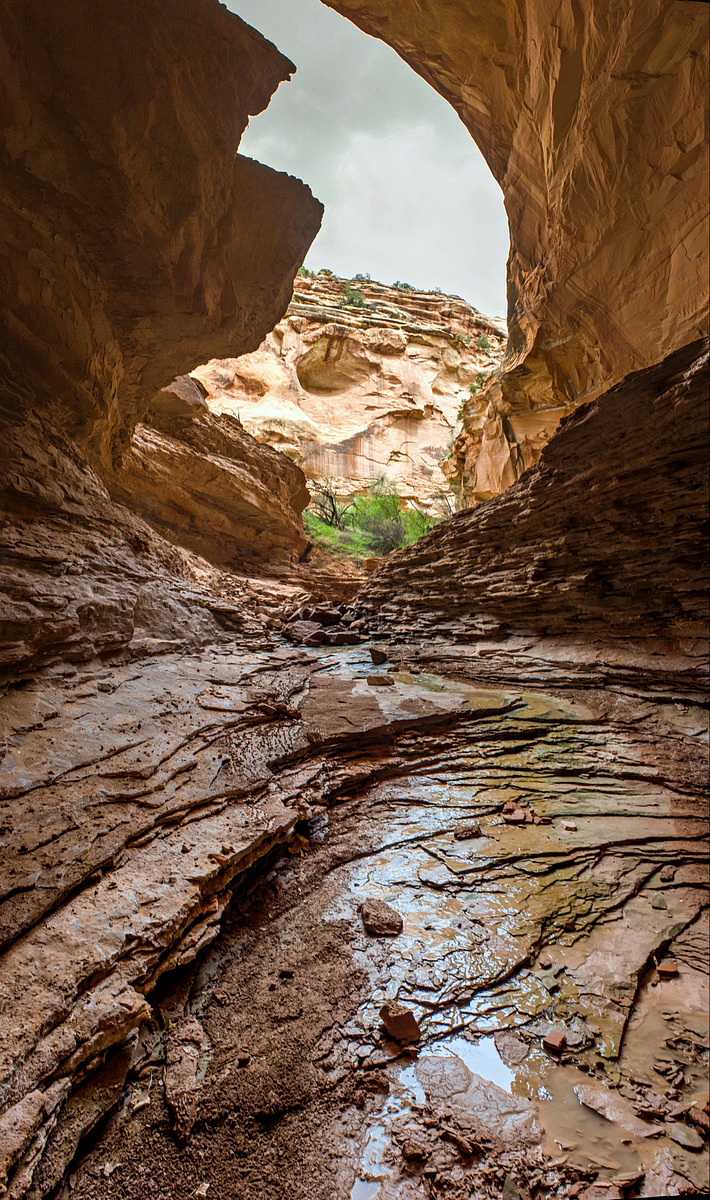 Mee Canyon Alcove Natural Atlas