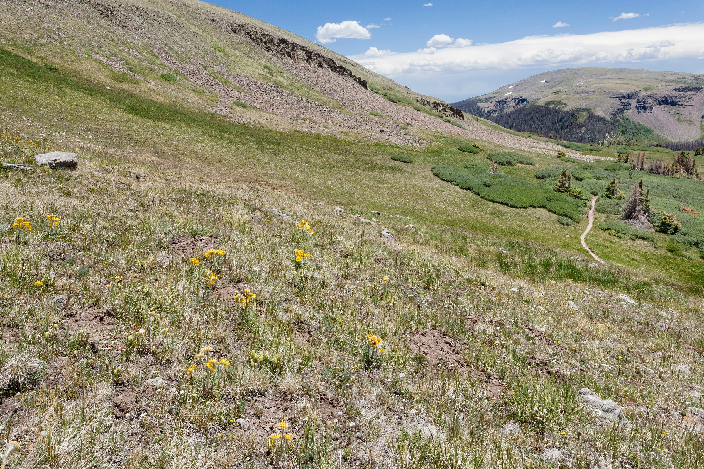 tobacco lake colorado Tobacco Lake Trail