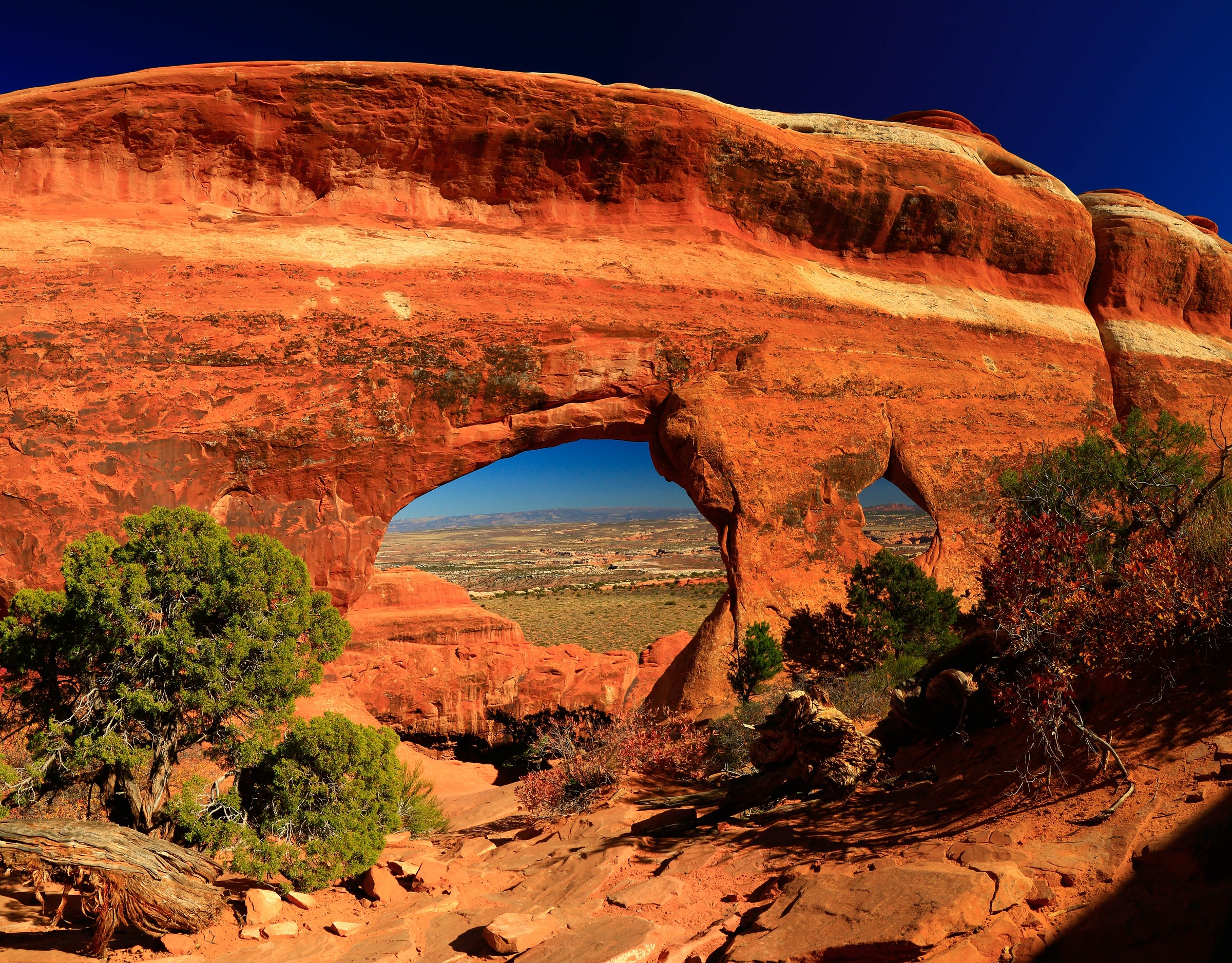 Partition Arch Natural Atlas