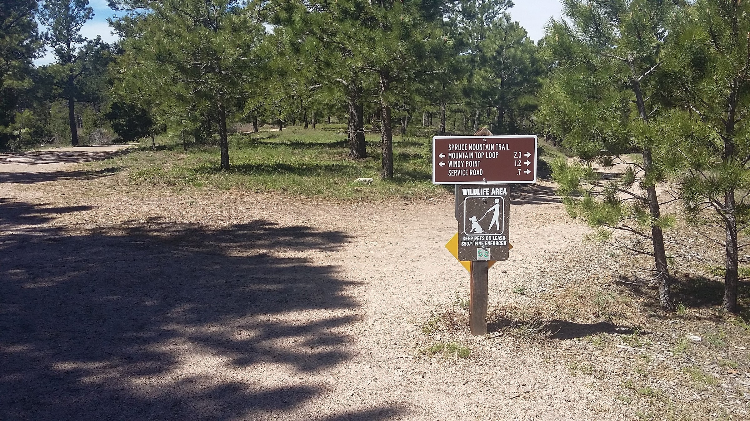Spruce Mountain Loop · Featured Route COTREX