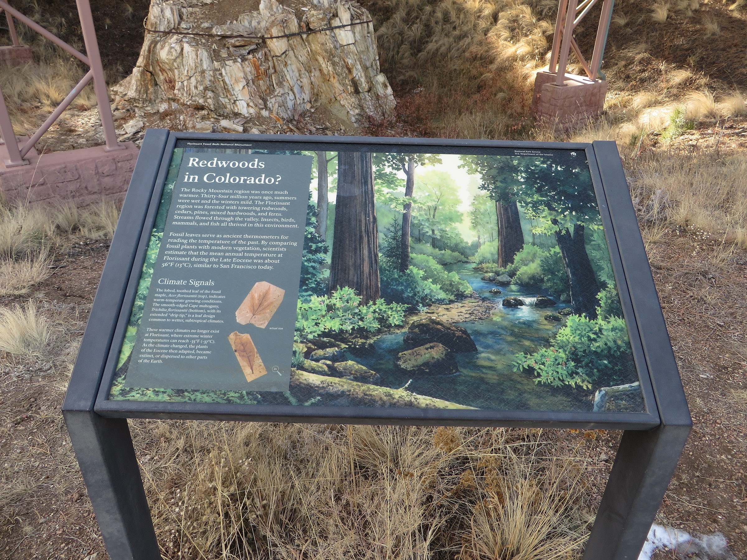 Ponderosa Loop · Featured Route COTREX