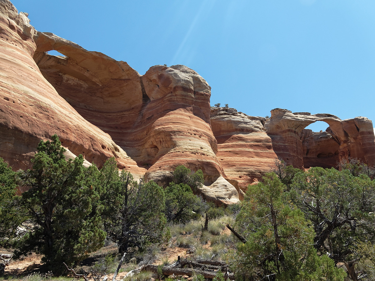 Rattlesnake Arches Out & Back · Featured Route COTREX