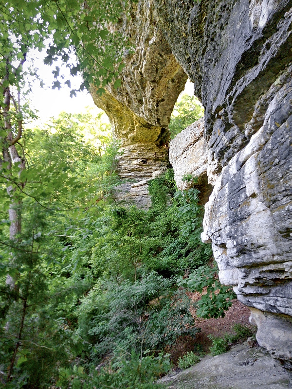 James River Map McCord Bend, MO Natural Atlas