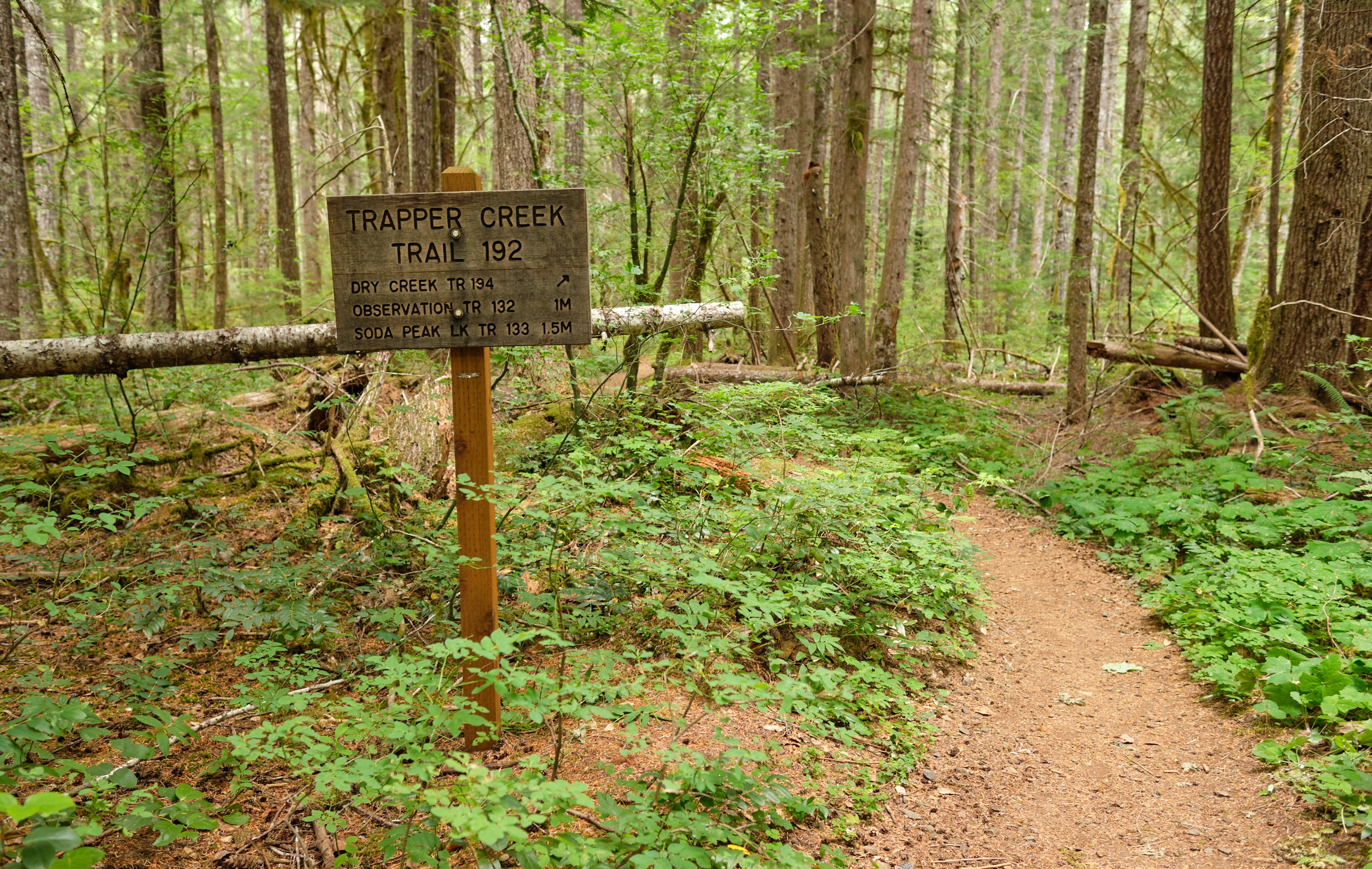 Trapper Creek Trailhead Natural Atlas