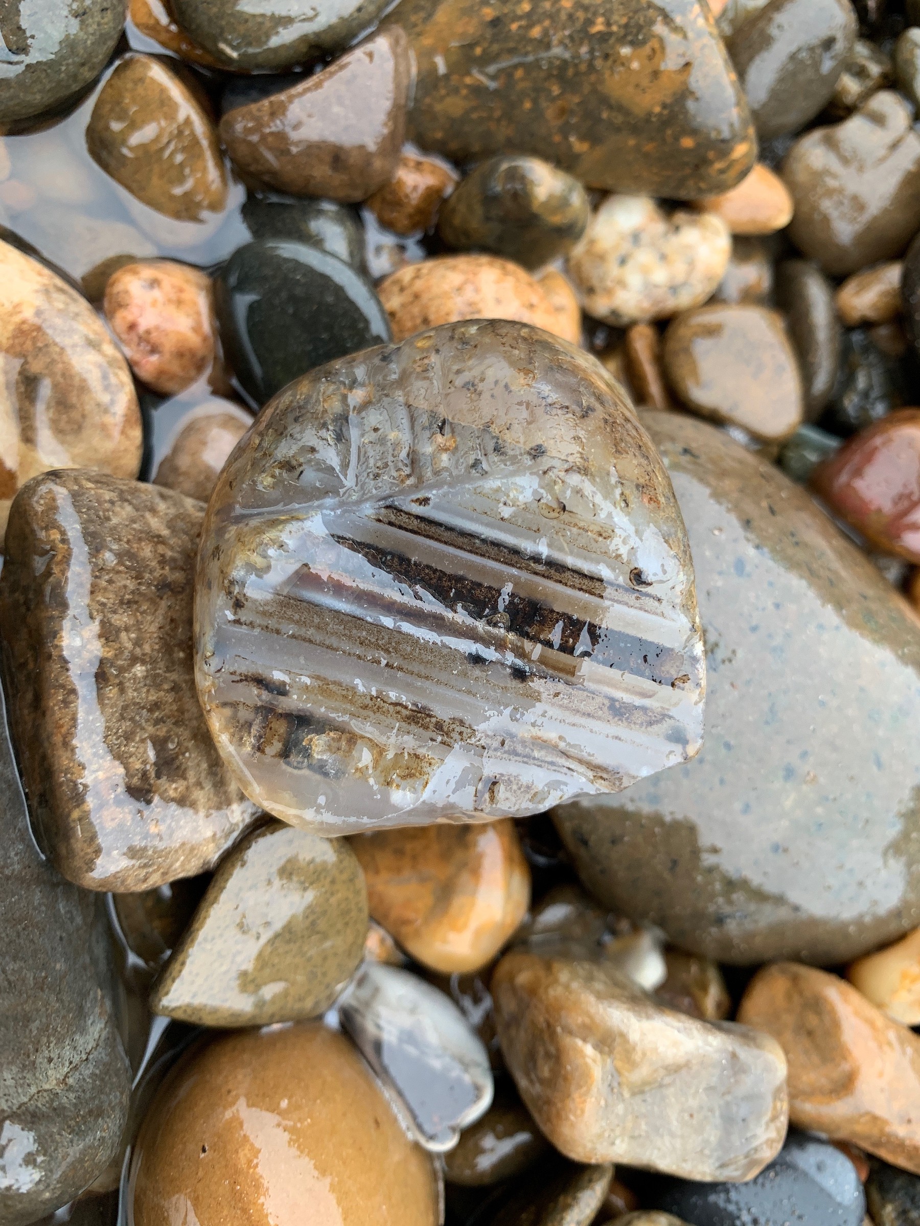 Natural Silicate Rocks Silicate Minerals | Natural Atlas