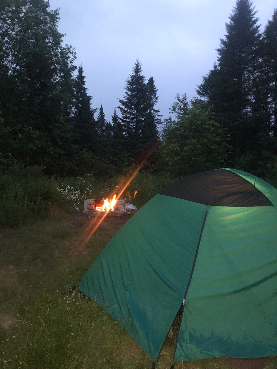 Moose River Plains Campsite 76 Natural Atlas