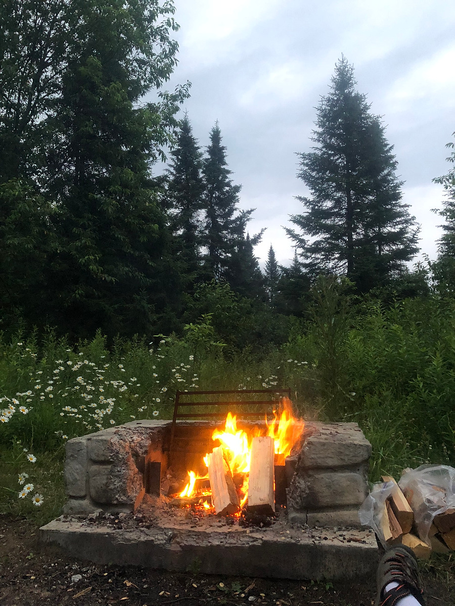 Moose River Plains Campsite 76 Natural Atlas