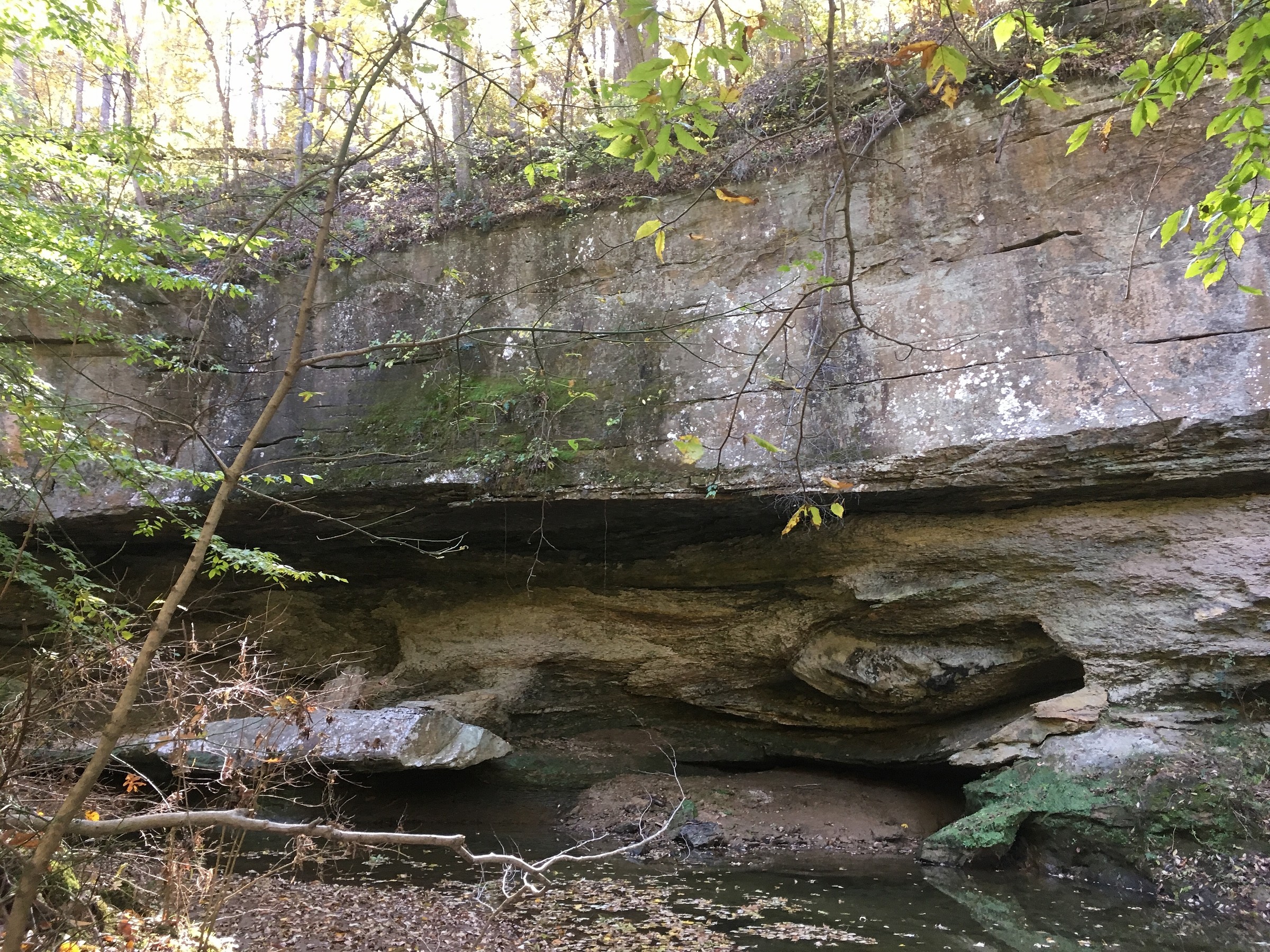 Piney Creek Ravine Nature Preserve Natural Atlas