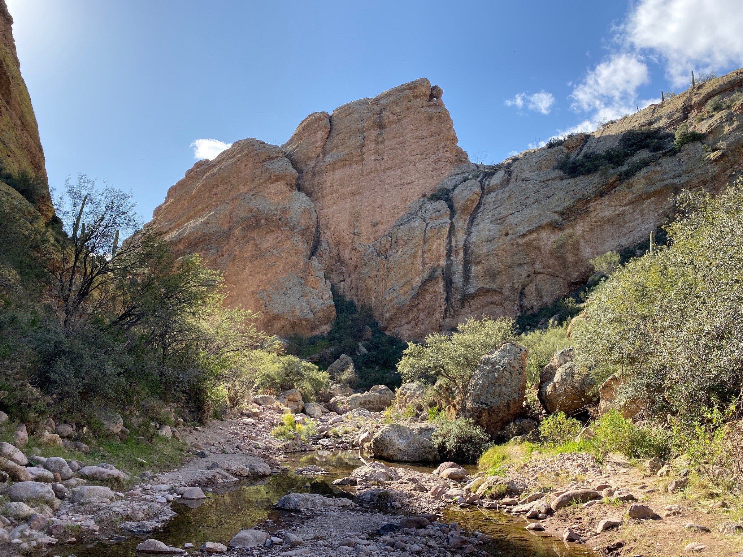 Hackberry Spring Trail Natural Atlas