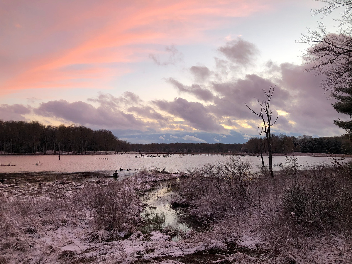 Moshannon State Forest Map, PA Natural Atlas