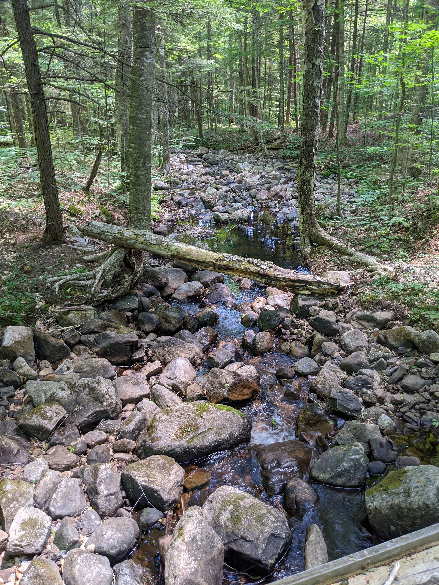 Ferris Lake Wild Forest Map, NY Natural Atlas