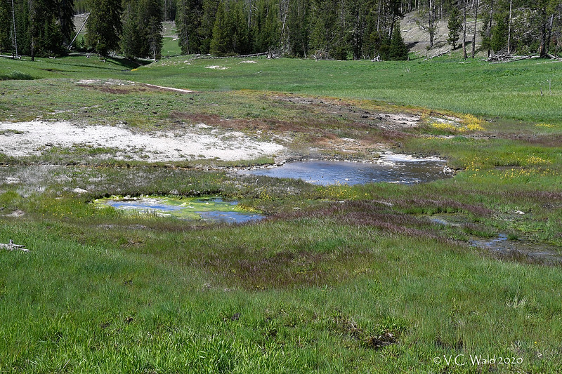 Clearwater Springs Natural Atlas